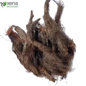 Fournisseur de produits naturels, extrait soluble d'huile de Nardostachys Jatamansi pour produits à base de plantes - Product Image 1
