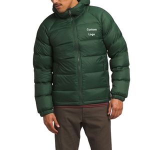 Personnalisé 2025 Hiver Hommes Doudoune Manches Longues Polyester Imperméable À Capuche Outwear Bulle Manteau Style High Street Look - Product Image 1