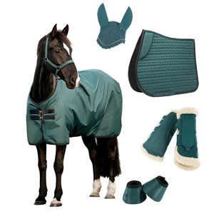High Quality Dressage Saddle Pads Set Customized Color Eco-friendly Cotton Comfort Durability Horse Riding Equestrian Saddle - Product Image 6