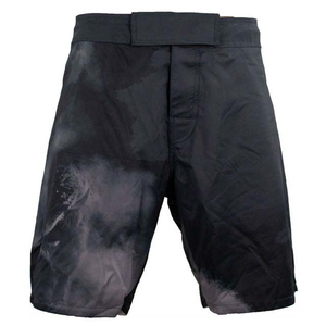 Pantalones Cortos de Lucha MMA con Estampado Gladiador para Hombre, Ripstop Elástico, para Entrenamiento de Muay Thai y Boxeo, Ligeros, de Secado Rápido - Product Image 1