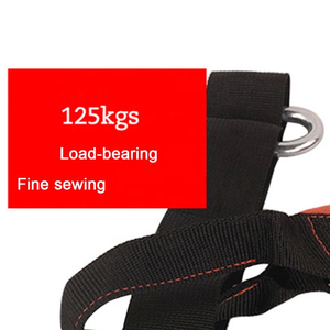 Sangles de suspension robustes en nylon pour barre de traction – Sangles réglables et confortables avec support de bras rembourré pour exercices de levage des jambes - Product Image 5