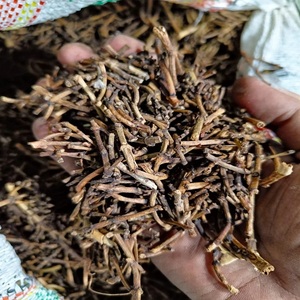 Clous de girofle frais séchés, produit botanique aromatique au parfum distinctif et à la saveur chaude pour la cuisine et les mélanges de thé - Product Image 1