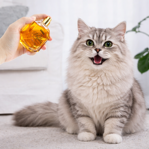 Perfume para Mascotas Personalizado de Fábrica Premium, Productos Certificados para el Cuidado de Perros y Gatos, Marca Privada OEM/ODM - Product Image 6