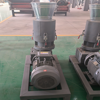 Granulateur vertical industriel à matrice plate certifié CE, 200-300 kg/h, petit granulateur de biomasse