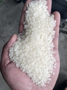 Riz Japonica pour Sushi, Riz Rond Blanc Séché et Moelleux (WS +84-915355383) - Product Image 3