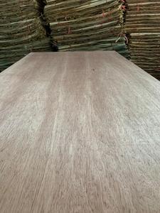 Bonito tablero de chapa de eucalipto de madera contrachapada comercial de 28mm, diseño Industrial moderno, decoración interior/exterior, 1 año de garantía - Product Image 5