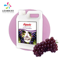 Sirop concentré de gingembre liquide Leamaxx Taiwan 2026 en bouteille pour thé au lait aux bulles et fournitures de cocktails