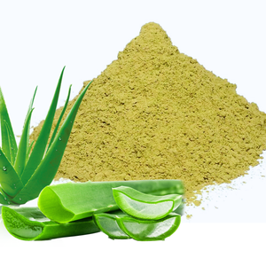 Polvo de Aloe Vera 100% Natural, Polvo Puro de Aloe Vera para Nutrición de la Piel y Productos de Belleza a Base de Hierbas, Proveedor a Granel de la India - Product Image 4