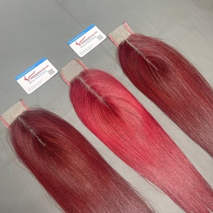Combo Closure 2x4 con Encaje Transparente de 14 Pulgadas, Color Vino Tinto, Precio al por Mayor, Cabello Vietnamita, Listo para Enviar - Product Image 1