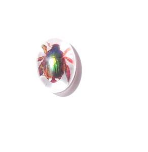 Cabochon ovale en plastique avec spécimen réel de coléoptère Golden Cockchafer, 12x18 mm, fond plat transparent, pour artisanat et fabrication de bijoux - Product Image 5