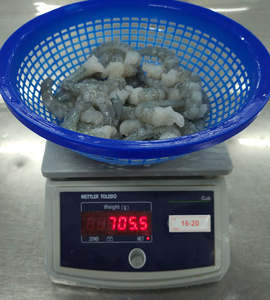 เปลือกกุ้งดิบจากเวียดนาม iqf แช่แข็ง vannamei ขนาด16/20ราคาดีที่สุดถุง A2หัวขาด - Product Image 2