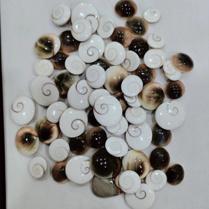 Piedras preciosas naturales de ojo de Shiva, fabricación de joyas, cabujón natural, piedras preciosas sueltas de La India, piedras preciosas sueltas indias hechas a mano - Product Image 1