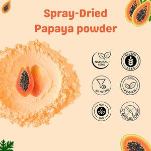 ผงมะละกออบแห้งแบบละเอียด บริสุทธิ์ ออร์แกนิค ปลอดสาร GMO ได้รับการรับรองฮาลาล/โคเชอร์/BRC สำหรับไอศกรีมสำเร็จรูป - Product Image 3