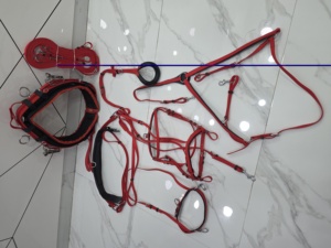 Ensemble de harnais équestre en PVC de qualité supérieure, sangle bleue, finition durable, robuste, avec quincaillerie originale en acier inoxydable et laiton - Product Image 4