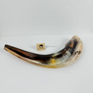 OEM fabricante indio Kosher Shofar hecho Israel Natural Ram Horn Shofar para soplar y fines religiosos pulido Kudu Horn - Product Image 2