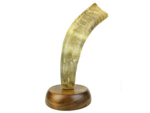 100% vraie vache paire décorative excellente qualité Buffalo Base en bois décor à la maison poli Animal meilleurs cadeaux utilisés fabuleux décorer - Product Image 2