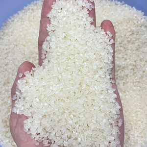 #1 Koshihikari Rice - Premium short <b>grain</b> round rice - Japonica rice - Sushi rice - WS +84968974137 Oil polished Rice - Japoriz - Product Image 5