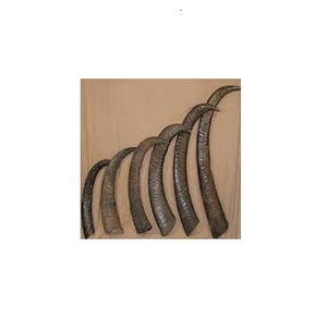 Cuerno Natural Crudo de Búfalo y Punta de Cuerno en Colores Negro y Natural para Tamaños y Cuernos Personalizados - Product Image 3