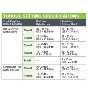 Clé dynamométrique de service fixe professionnelle avec 5 tailles réglables. - Product Image 5