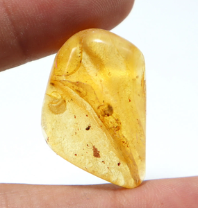 Cabochon lisse en ambre naturel de la Baltique avec pierre précieuse d'ambre en vrac - Product Image 1