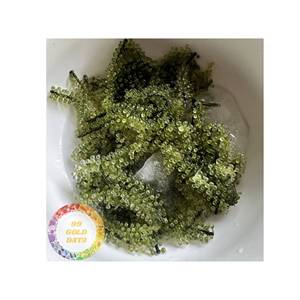 Manufacturer Price Jackfruit Chips Low Oil Content Healthy Dried Fruit for Germany Food Service Direct Factory Wholesale Supply - Product Image 6