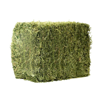 Fournisseur en gros de foin d'alfalfa séché pour les exploitations agricoles commerciales et les acheteurs d'aliments pour animaux