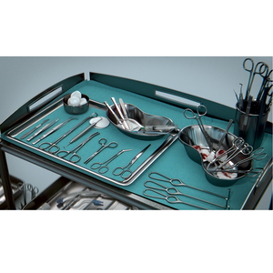 Juego de Instrumentos DHS DCS, Kit de Cirugía de Placa Ósea Ortopédica con Tornillo Dinámico para Cadera, Herramientas de Acero Inoxidable con Caja de Esterilización - Product Image 2