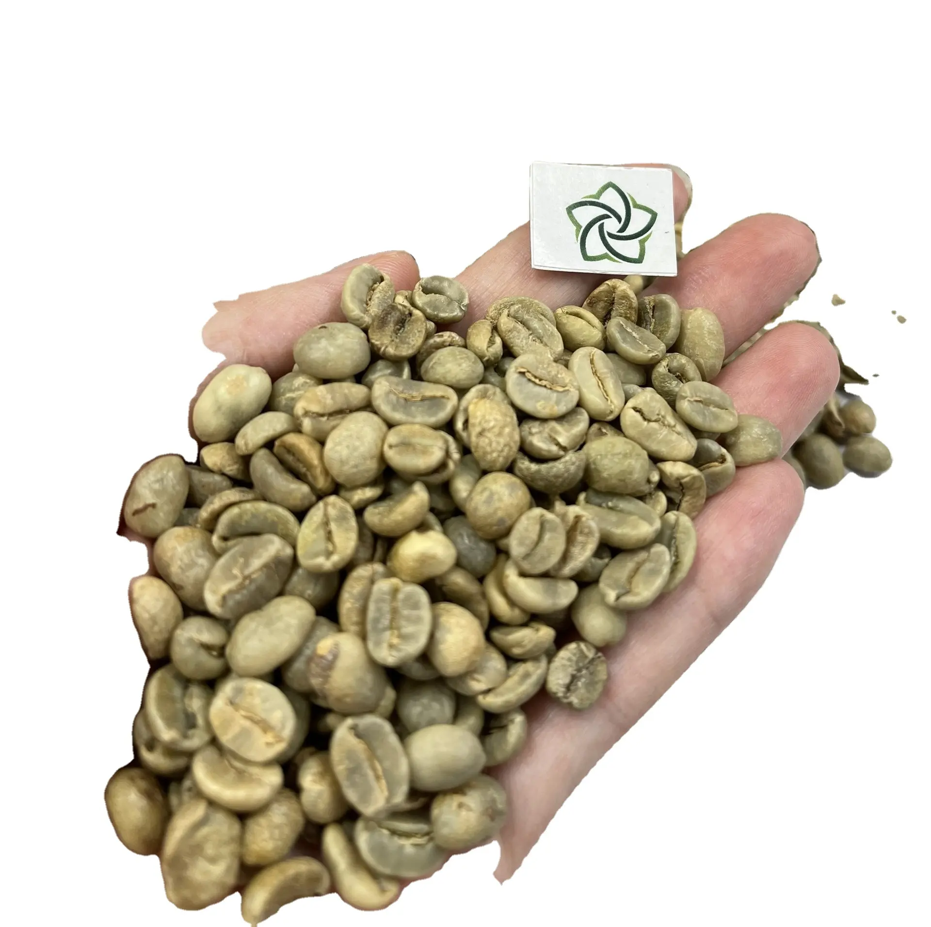 [Hot Prijs] Arabica A1/A2/A3 Screen 18/16/13 Arabica Koffie Groene Koffiebonen Vietnam koffie Export + 84326339355