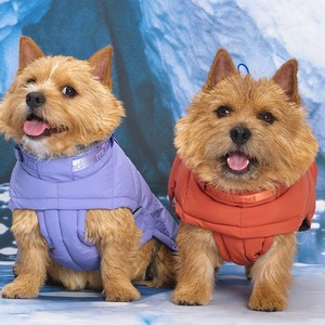 [MUNIKUND] Thermal Up Padding Air 2 Dog Puffer Jacket Vegan Down Winter Coat Waterproof Padded Pet Apparel - Product Image 3