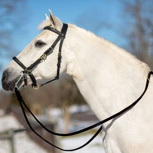 Bridon en cuir pour cheval avec ferrures en laiton, ajustement réglable, collier équestre personnalisable, halter en cuir réglable pour cheval de polo - Product Image 6