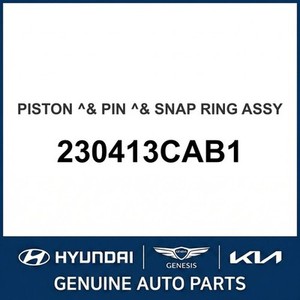 Carnival Nouveaux Pistons et Segments 230413CAB1 - Product Image 1