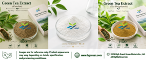 Hgo สารสกัดจากชาเขียวธรรมชาติบริสุทธิ์ (เกรดอาหาร) ข้อมูลจำเพาะ80% catechin (สารสกัดมาตรฐาน) - Product Image 6