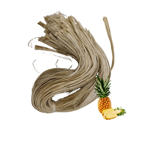 Proveedor líder en Vietnam ofrece fibra de hoja de piña industrial de la mejor calidad a bajo precio, suministro a granel - Product Image 1