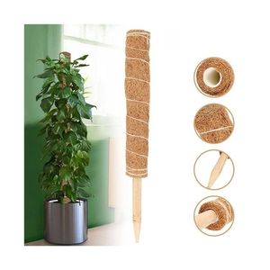 Poteaux en fibre de coco à succès pour projets paysagers intérieurs haut de gamme et ensembles de fournitures décoratives pour la mise en forme des plantes grimpantes - Product Image 1