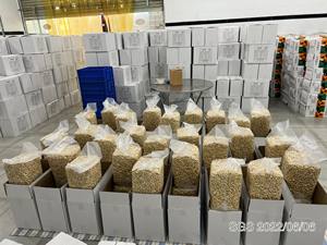 ที่ดีที่สุดสำหรับการส่งออกเม็ดมะม่วงหิมพานต์/เม็ดมะม่วงหิมพานต์ที่มีราคาที่ดีที่สุดจากเวียดนามกำเนิด + 84363565928 - Product Image 6