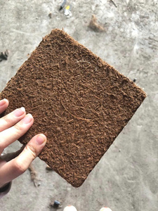 HIGH QUALITY Fine Mesh <b>Coir</b> Peat <b>Block</b> Low EC High Water Holding Capacity Wholesale - Product Image 3
