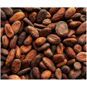 Mejor calidad de granos de cacao en venta a precio económico - Product Image 2