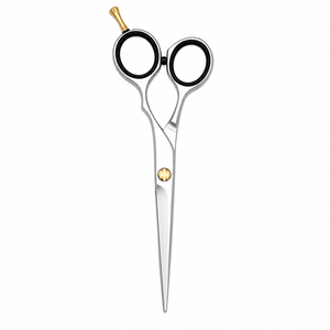 Tijeras Profesionales de Corte de Cabello de Titanio Plateado de 7.0 Pulgadas, Tijeras Premium para Barbería y Salón - Product Image 1