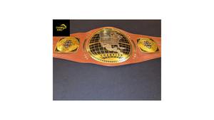 Ceintures de championnat de lutte personnalisées en alliage de zinc modèle PK 007 2026 - Product Image 5