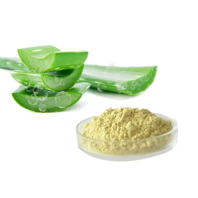 Extracto de Aloe Vera en polvo, producto de belleza Natural, 200:1