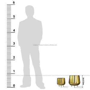 Ensemble de 2 pots de fleurs minimalistes en métal doré brillant avec pieds pour la maison et le bureau - Product Image 3