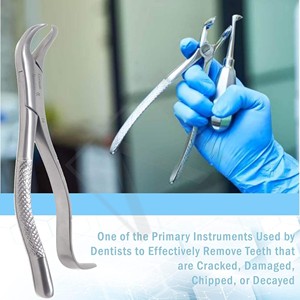 Forceps d'extraction dentaire en corne de boeuf de qualité supérieure, réutilisables, pour extraction de molaires mandibulaires, outils chirurgicaux - Product Image 4