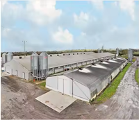 Structure de construction en acier QCF225 à faible coût et respectueuse de l'environnement pour ferme avicole et bâtiment d'élevage
