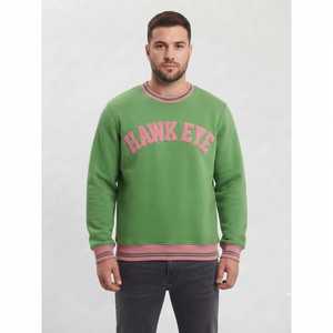 Sudadera Casual para Hombre HAWK EYE SPORTS, Nueva Moda, 350g, Hombros Caídos, Corte Regular, Cuello Alto, Estampado, Otoño - Product Image 4