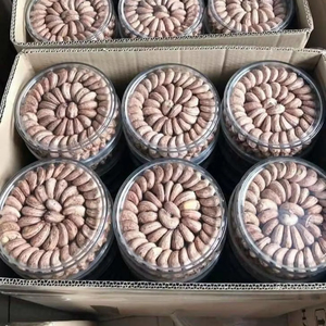 Nueces de Anacardo Saladas y Tostadas al por Mayor de Vietnam, Premium, Crujientes y Deliciosas, Proveedor de Fábrica de Snacks para Venta Minorista - Product Image 1