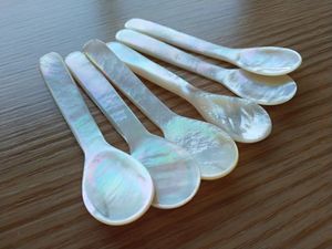 Eco Friendly Natural <b>Abalone</b> <b>Shell</b> Spoon Luxury Dessert Ice Cream Utensils Bulk Wholesale Manufacturer Vietnam - Product Image 2