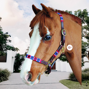 Arnés de Cuero de Alta Calidad para Caballos de Polo 2026, Conjunto Completo de Arnés de Seguridad de Cuero, Fabricante y Mayorista de Equipos Ecuestres - Product Image 2