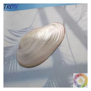 Plateau en coquillage irisé pour la décoration bohème, côtière et rustique, idéal pour les présentoirs et les arrangements décoratifs de table pour les boutiques de cadeaux - Product Image 3