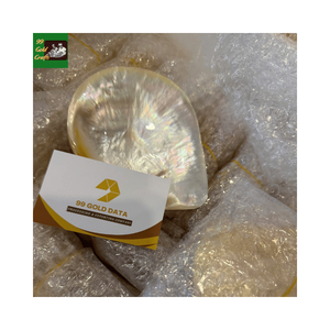 Assiette de luxe en nacre naturelle, vaisselle artisanale haut de gamme pour événements gastronomiques exclusifs - Product Image 1