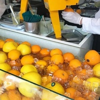 Commerciële automatische ananas-sinaasappelsap fruitpers machine prijs
